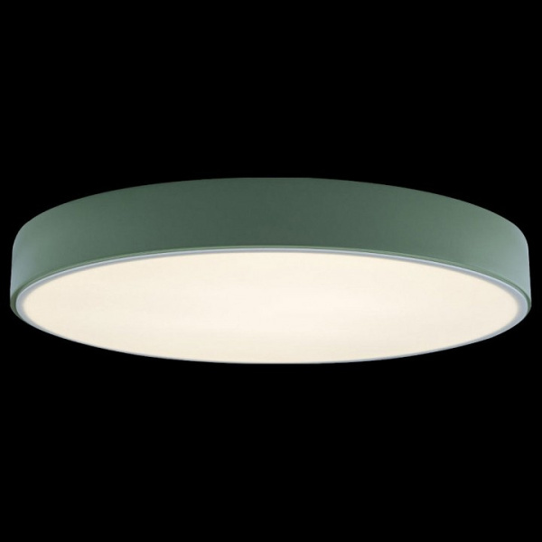 Открыть Накладной светильник Loft it Axel 1 10002/24 Green Фото Накладной светильник Loft it Axel 1 10002/24 Green