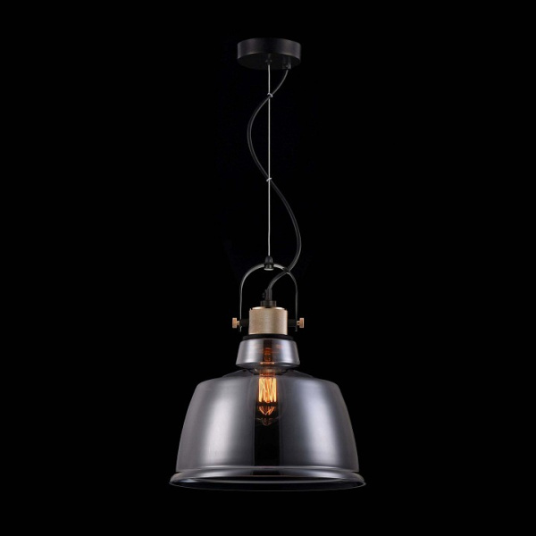 Фото Подвесной светильник Maytoni Irving T163PL-01C