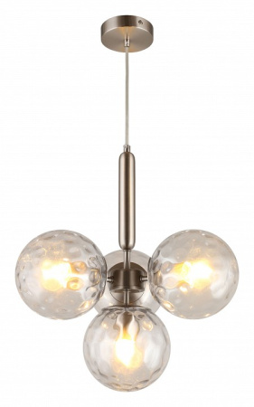 Фото Подвесная люстра Aployt Lora APL.728.16.04