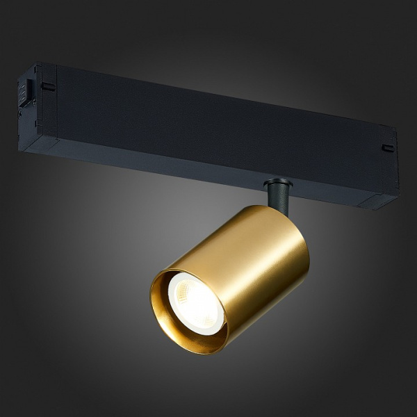 Фото Светильник на штанге ST-Luce SKYLINE 220 ST505.206.01