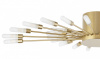 Открыть Потолочная люстра Lightstar Ragno 732283 Фото Потолочная люстра Lightstar Ragno 732283