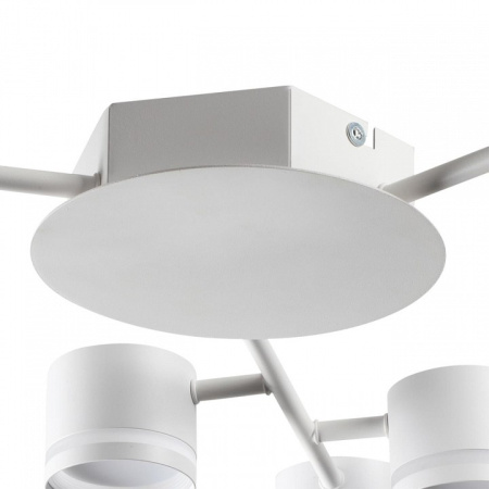 Фото Потолочная люстра Lumion Gareta 8235/9C