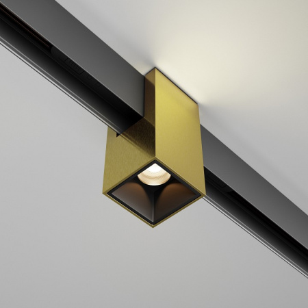 Фото Накладной светильник Maytoni Alfa TR121-2-7W3K-BS