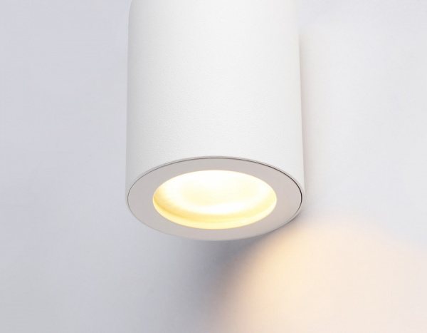 Фото Накладной светильник Ambrella Light TN TN22797