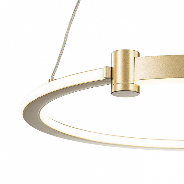Открыть Подвесной светильник Indigo Circolato 14015/1P Gold Фото Подвесной светильник Indigo Circolato 14015/1P Gold