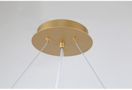 Фото Подвесная люстра Favourite Ginkoa 4080-10P