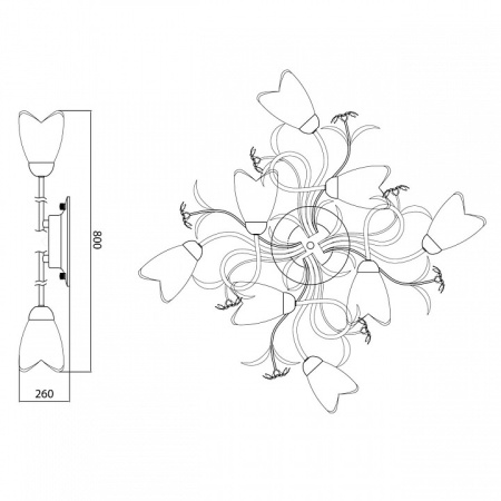 Фото Потолочная люстра MW-Light Аида 13 323013708