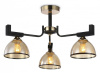 Люстра на штанге Ambrella Light TR TR9098 Люстра на штанге Ambrella Light TR TR9098