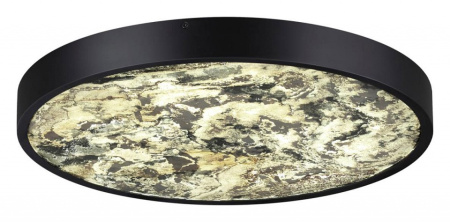 Фото Накладной светильник Odeon Light Bergi 5064/40L