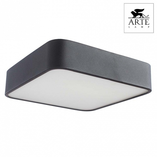 Фото Накладной светильник Arte Lamp Cosmopolitan A7210PL-2BK