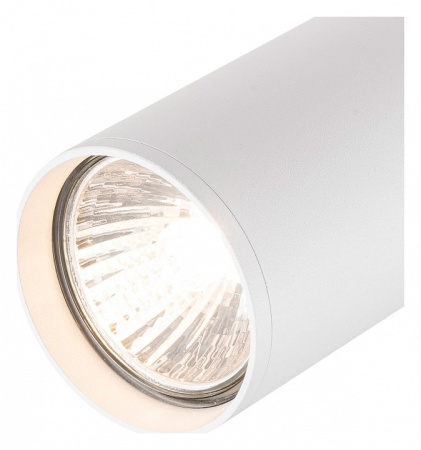 Фото Светильник на штанге Escada 20001 20001TRA/01 SWH