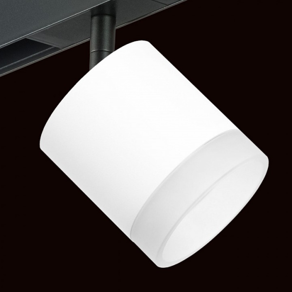 Фото Светильник на штанге Lightstar Rullo PRO348680