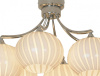 Фото Потолочная люстра Lussole Cesano LSF-7203-06