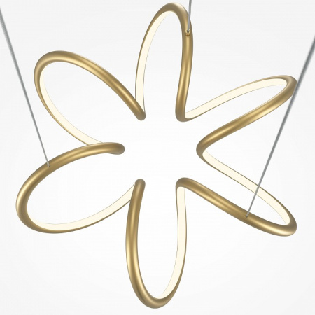 Фото Подвесной светильник Maytoni Curve MOD241PL-L60BSK