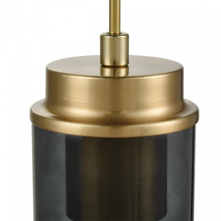 Фото Подвесной светильник Lumion Isha 8101/1A