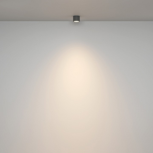 Фото Накладной светильник Maytoni Rendo C095CL-GX53-GR