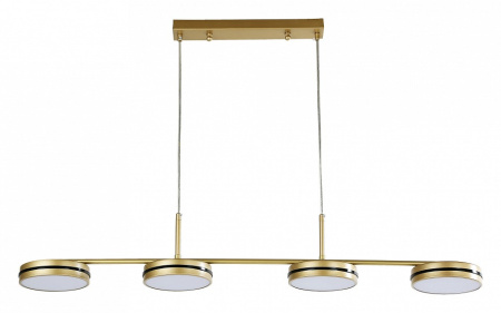 Фото Подвесной светильник F-promo Disco 4043-4P