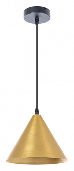 Фото Подвесной светильник Arte Lamp David A7033SP-1BK