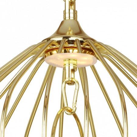 Фото Подвесной светильник Favourite Chick 1930-2P