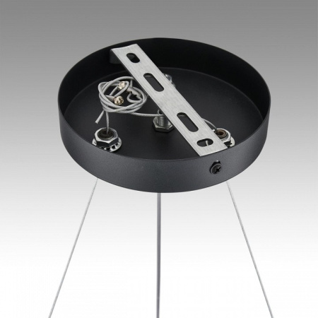 Фото Подвесная люстра Lumion Luazana 8242/6