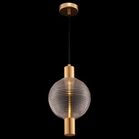 Фото Подвесной светильник Maytoni Rueca P060PL-01BS