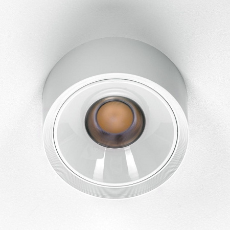 Фото Накладной светильник Citilux Rover CL743090N