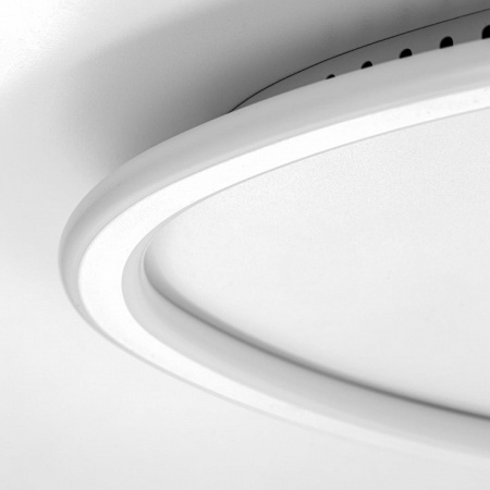 Фото Накладной светильник Citilux ТRIO CL215B250E