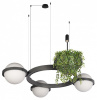 Подвесная люстра Loft it Jardin 10121/3 Dark grey Подвесная люстра Loft it Jardin 10121/3 Dark grey