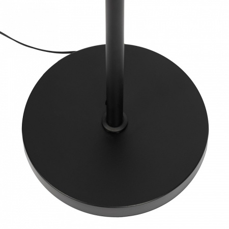 Фото Торшер Citilux Alex CL804051