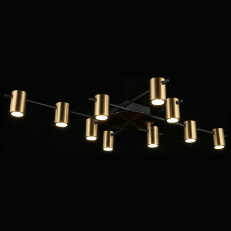 Фото Потолочная люстра Aployt Elwisia APL.633.07.10