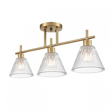 Фото Светильник на штанге Lumion Vivian 8188/3C