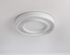 Открыть Накладной светильник Ambrella Light FL FL5821 Фото Накладной светильник Ambrella Light FL FL5821