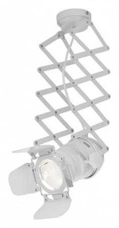 Фото Светильник на штанге Loft it Cinema LOFT3096-M