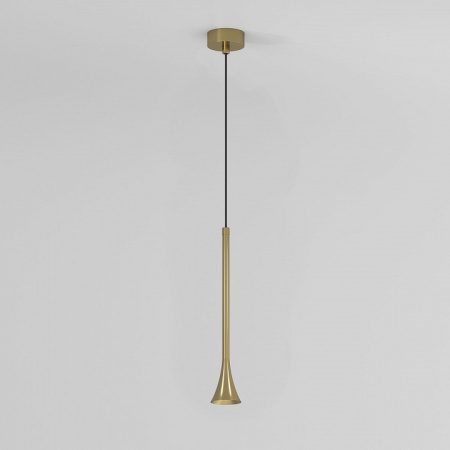 Фото Подвесной светильник Elektrostandard Hall a068820