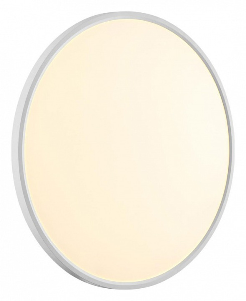 Фото Накладной светильник Sonex Alfa White 7659/48L