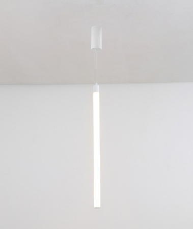 Фото Подвесной светильник Maytoni Ray P022PL-L10W