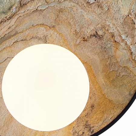 Фото Накладной светильник Favourite Messier 4594-1W