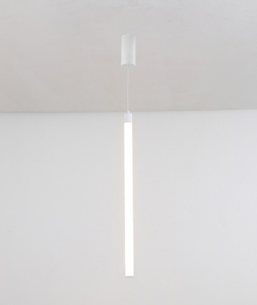 Фото Подвесной светильник Maytoni Ray P022PL-L10W