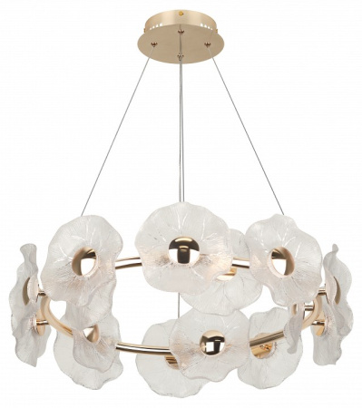 Фото Подвесная люстра Rivoli Shannon Б0061947
