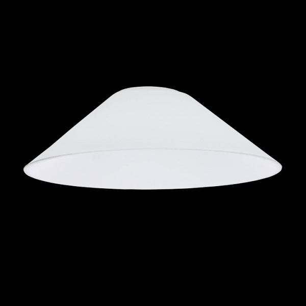 Фото Плафон стеклянный Citilux Эдисон CL450.12