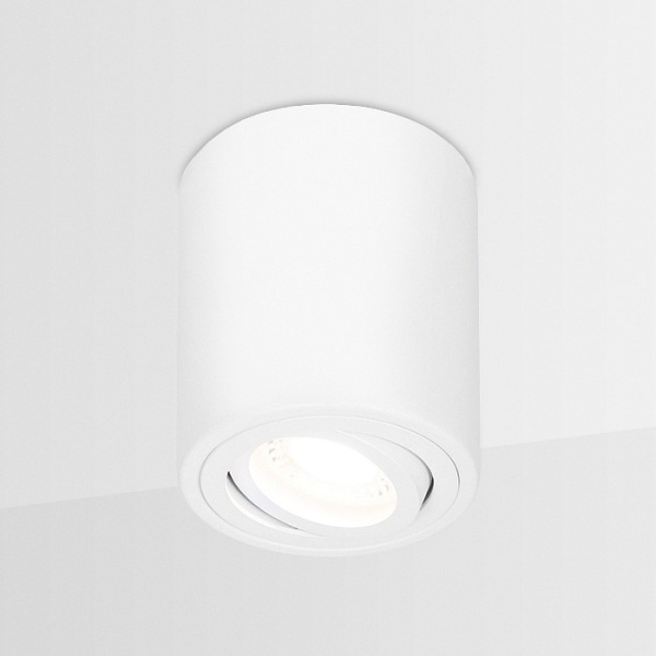 Фото Накладной светильник Ambrella Light TN TN225