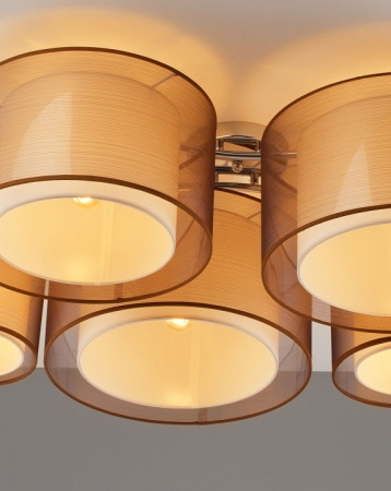 Фото Потолочная люстра Moderli Room V10624-5C