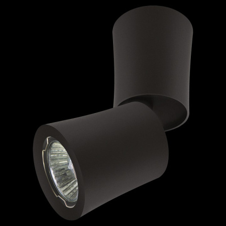 Фото Накладной светильник Lightstar Rotonda 214457