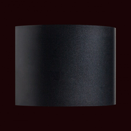 Фото Накладной светильник Lightstar Dalla 340557