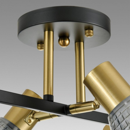 Фото Люстра на штанге Lumion Anriya 8044/6C