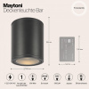 Фото Накладной светильник Maytoni Bar O306CL-L12GF