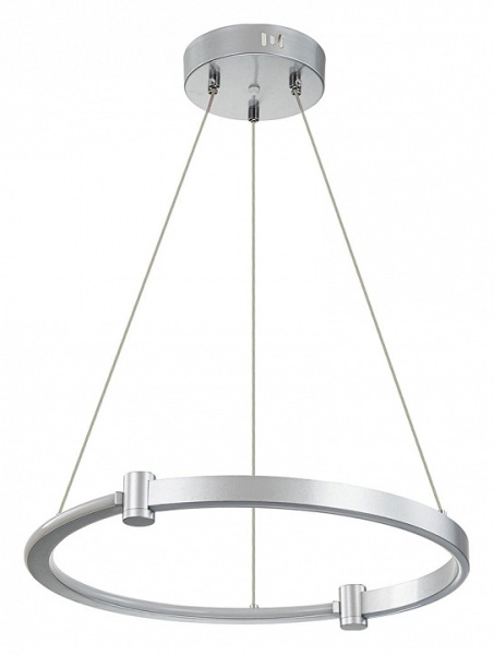Открыть Подвесной светильник Indigo Circolato 14015/1P Silver Фото Подвесной светильник Indigo Circolato 14015/1P Silver