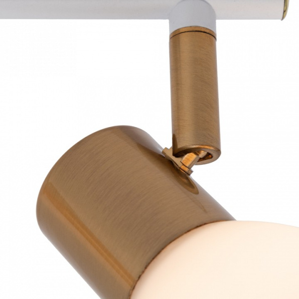 Фото Спот Arte Lamp Falena A3117PL-2WH