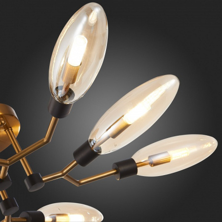 Фото Потолочная люстра ST-Luce Desima SL1174.302.08