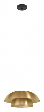 Фото Подвесной светильник Eglo Cenciara 900849